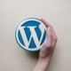 WordPress Logo Hand
